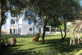 Villa La Conchiglia Rooms Cala Liberotto